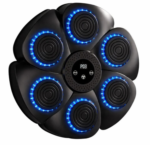 Fitness Accessories