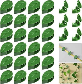 Problems Solved 30-piece self-adhesive plant climbing wall fixture clips, invisible plant fixers for support and stability.