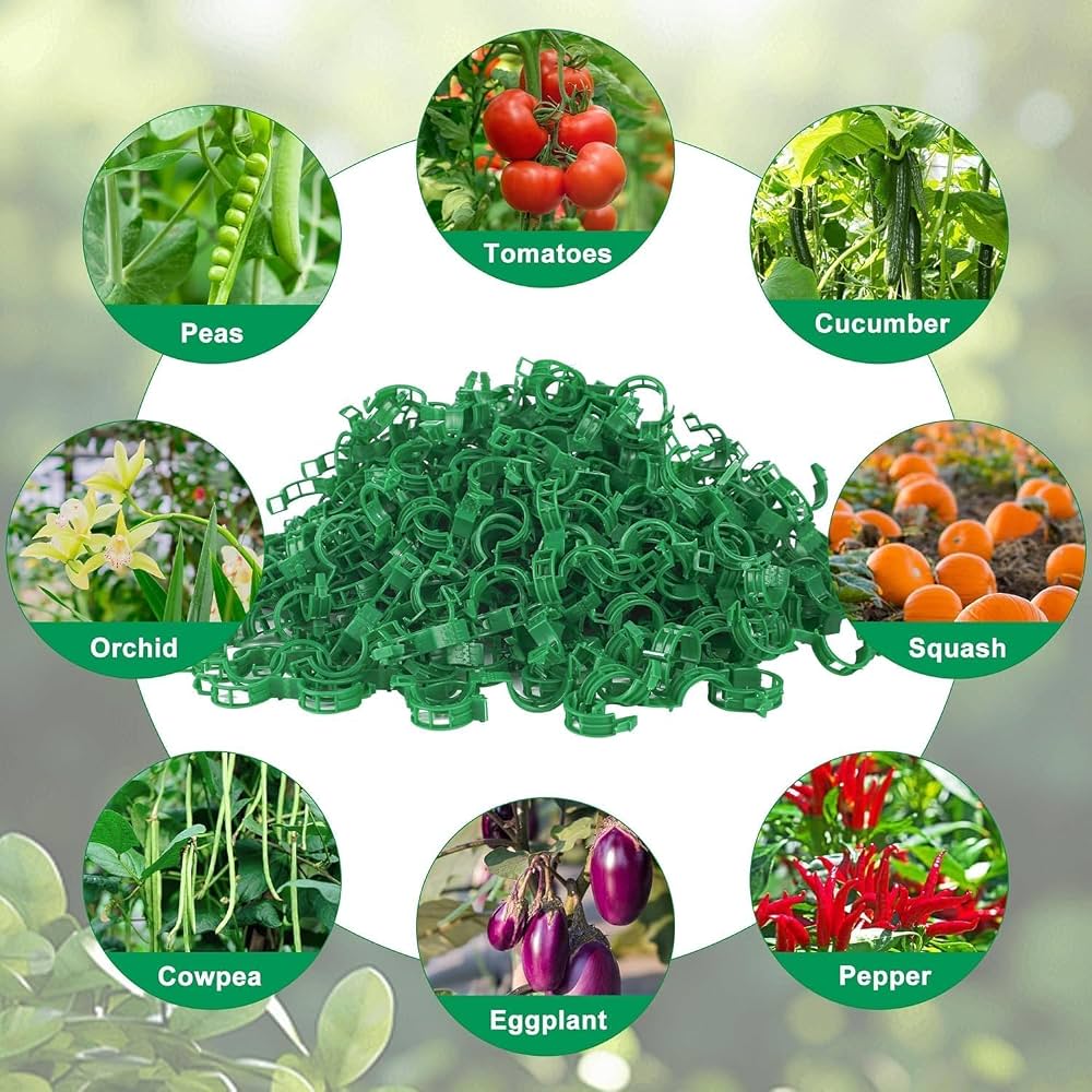 Pack of 100 Problems Solved plant support clips for climbing plants, garden plant clips for securing and supporting garden plants.