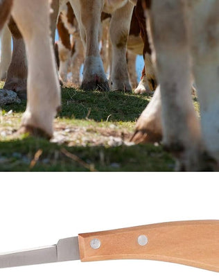 Problems Solved Sharper Hoof Knife for left or right hand farriers, featuring a durable blade for precise hoof trimming.