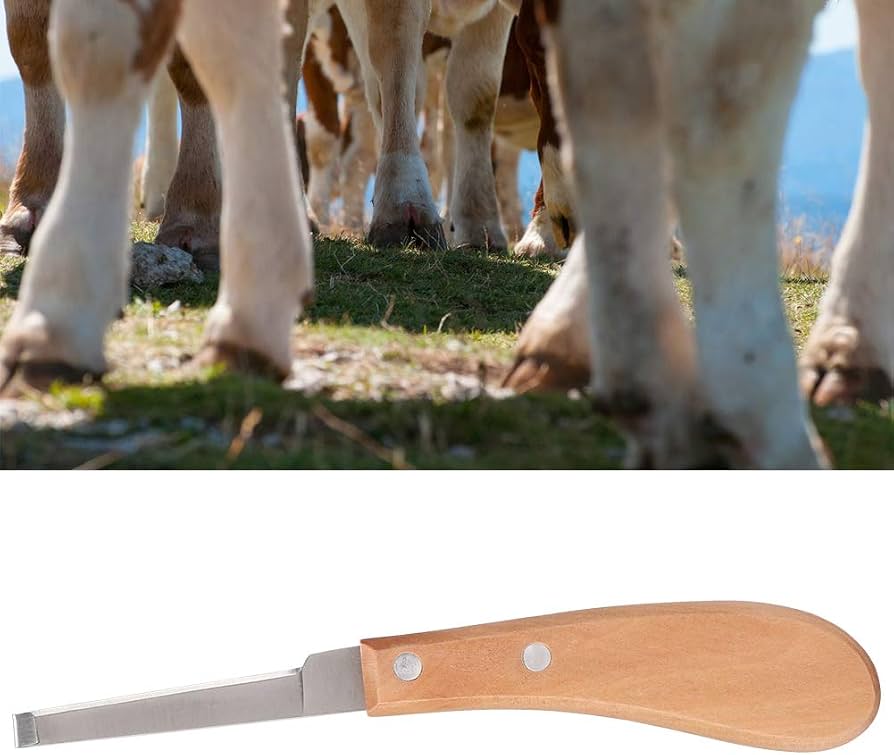 Problems Solved Sharper Hoof Knife for left or right hand farriers, featuring a durable blade for precise hoof trimming.