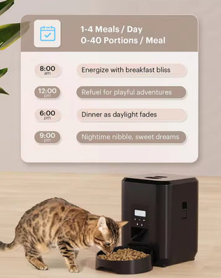 Smart Pet Feeder Automatic With Timed Quantitative - Problems Solved