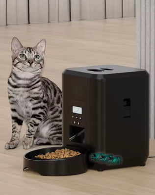 Smart Pet Feeder Automatic With Timed Quantitative - Problems Solved