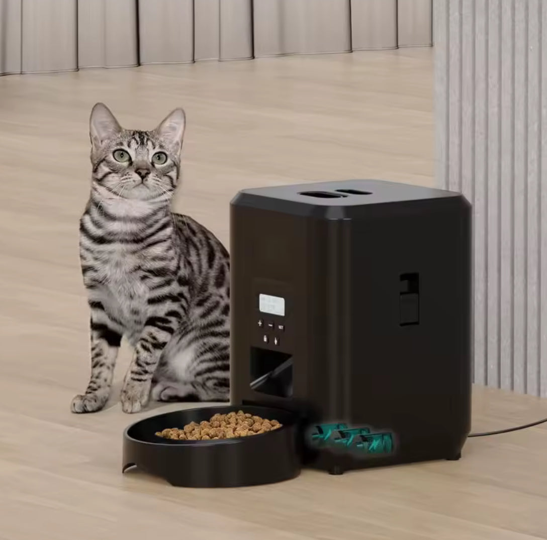 Smart Pet Feeder Automatic With Timed Quantitative - Problems Solved