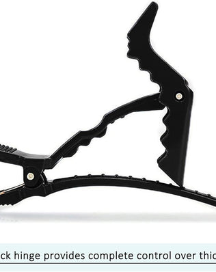 Problems Solved crocodile hair clips barrette for sectioning and styling, showing 10 professional hair sectioning clamps.