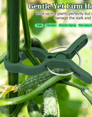 Problems Solved 50-pack plant support clips for tomatoes and garden plants, showing clips attached to plant stems for support.