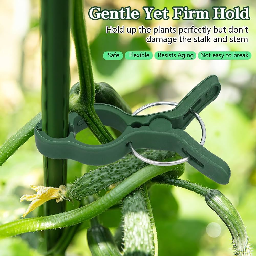 Problems Solved 50-pack plant support clips for tomatoes and garden plants, showing clips attached to plant stems for support.