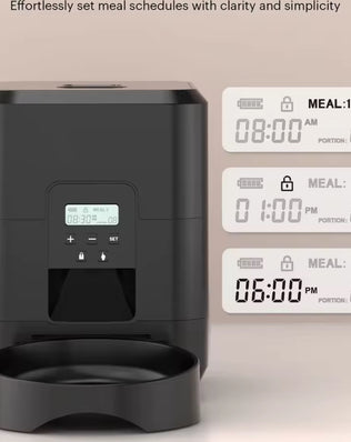 Smart Pet Feeder Automatic With Timed Quantitative - Problems Solved