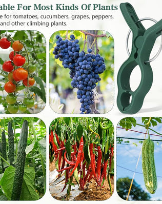 Problems Solved 50-pack plant support clips for tomatoes and garden plants, showing clips attached to plant stems and supporting tomato vines.