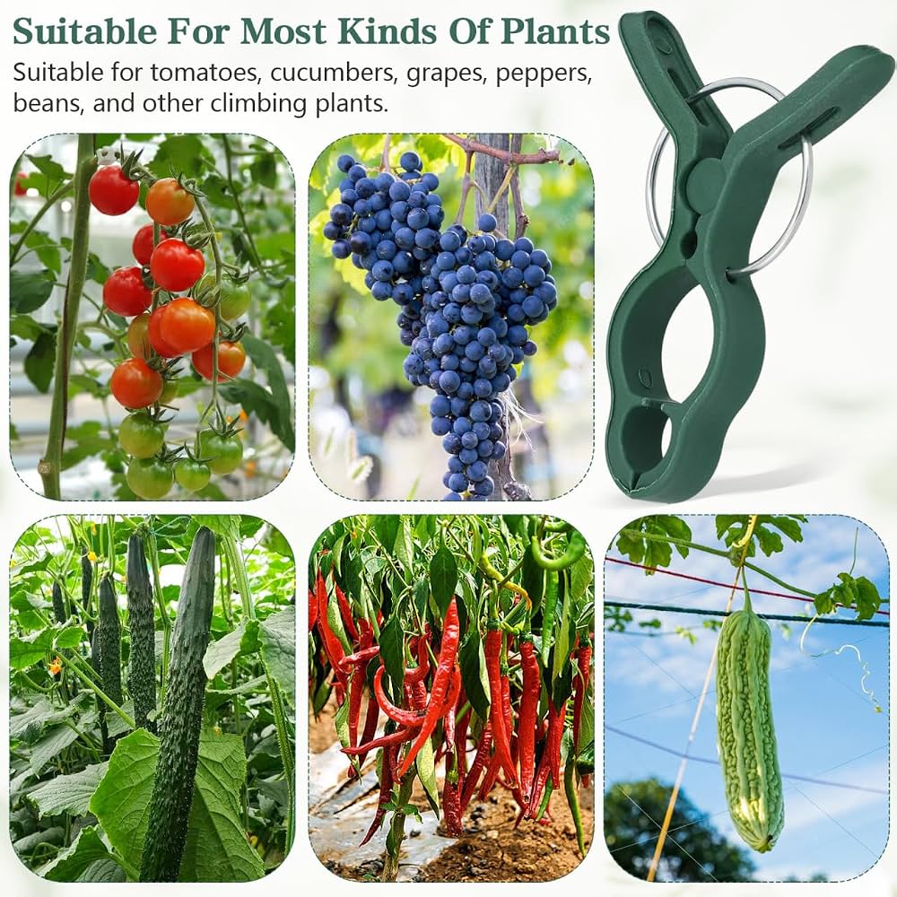 Problems Solved 50-pack plant support clips for tomatoes and garden plants, showing clips attached to plant stems and supporting tomato vines.