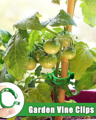 Pack of 100 Problems Solved plant support clips for climbing plants, garden plant support clips, durable and easy to use.