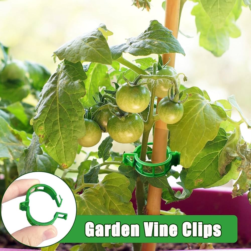Pack of 100 Problems Solved plant support clips for climbing plants, garden plant support clips, durable and easy to use.
