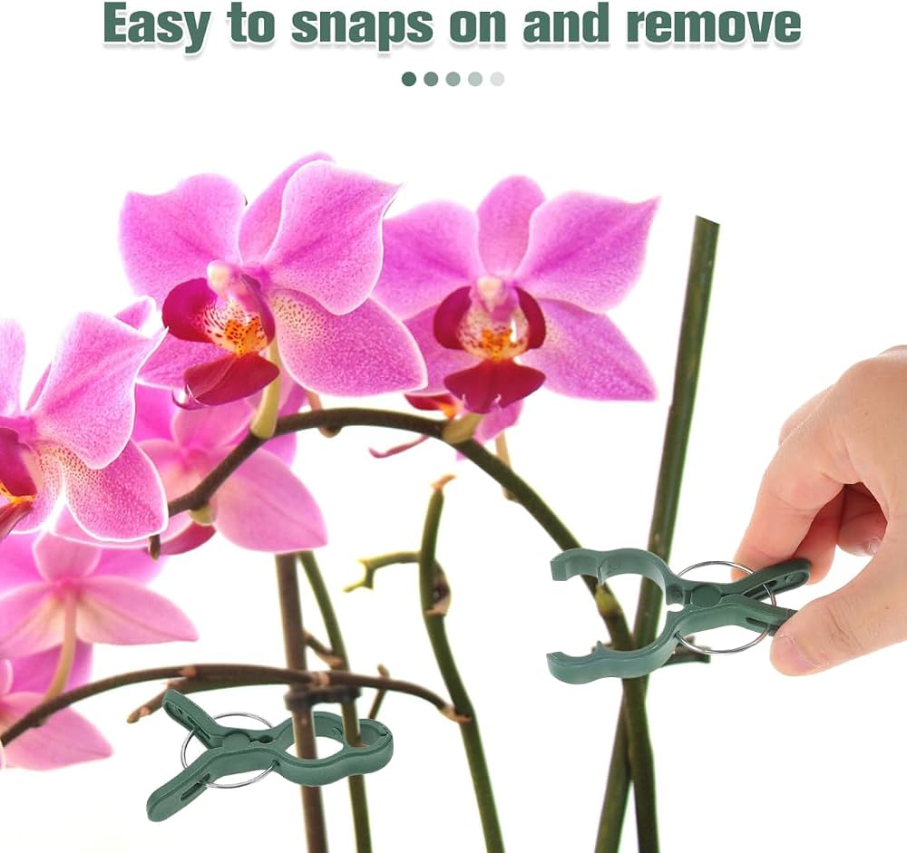 Set of 50 Problems Solved plant support clips for tomatoes, garden plants, and garden support in outdoor gardening.