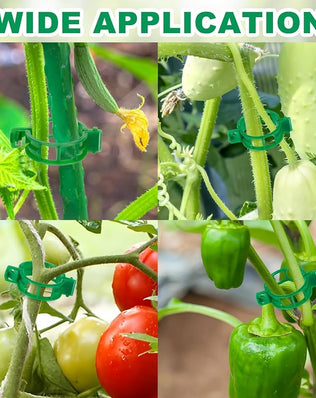 Pack of 100 Problems Solved garden plant support clips for climbing plants, ideal for securing and supporting garden plants.