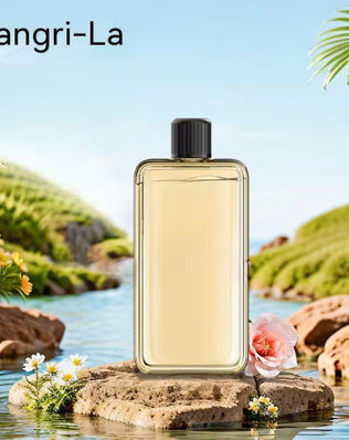 Automatic Aromatherapy Diffuser with Display for Air Freshening - Problems Solved