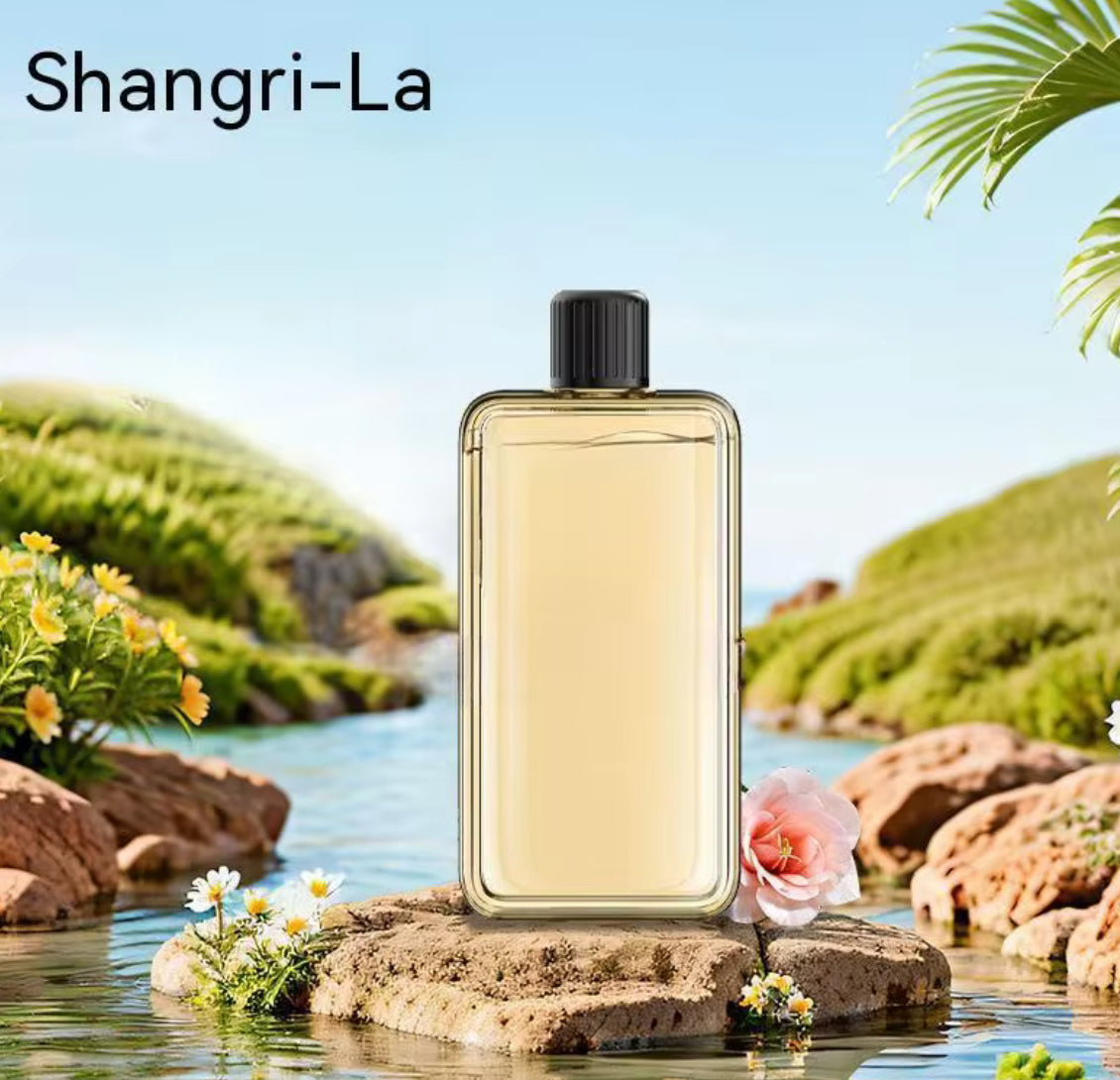 Automatic Aromatherapy Diffuser with Display for Air Freshening - Problems Solved