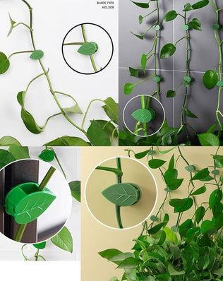Problems Solved 30-piece self-adhesive plant climbing wall fixture clips, invisible plant fixers for secure support.