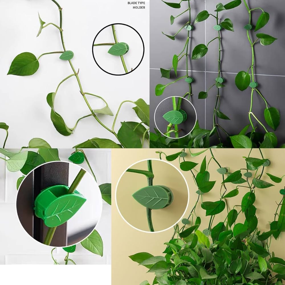 Problems Solved 30-piece self-adhesive plant climbing wall fixture clips, invisible plant fixers for secure support.