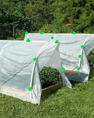 Pack of 50 Problems Solved green greenhouse clamps, 11mm diameter polytunnel plant clips for garden support and stability.