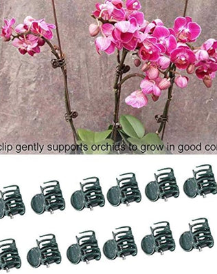 Set of 100 plastic plant support clips for garden stems, ideal for securing flowers and mini stalks in gardening projects.