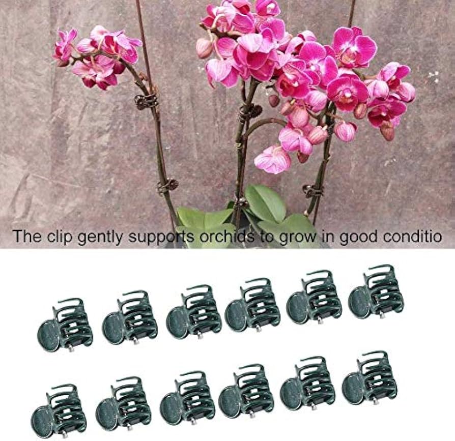 Set of 100 plastic plant support clips for garden stems, ideal for securing flowers and mini stalks in gardening projects.