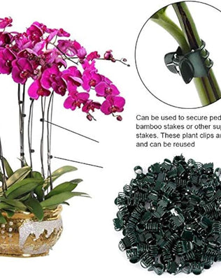 100Pcs Problems Solved garden plastic plant support clips for stems, ideal for securing flower and plant stalks in the garden.