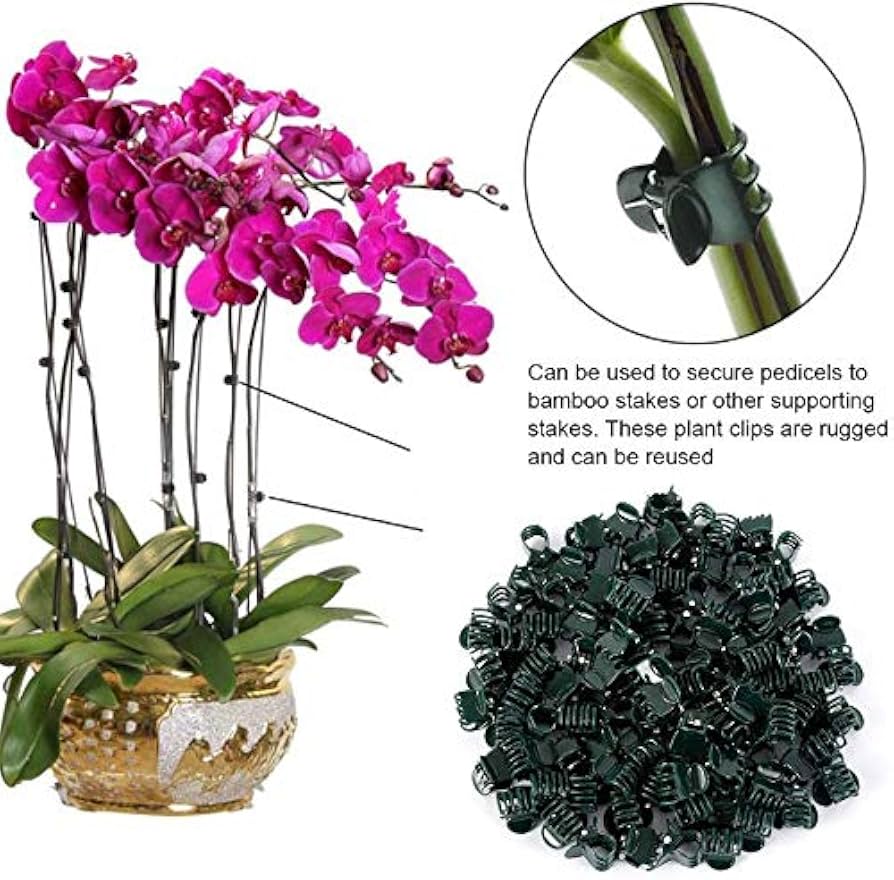 100Pcs Problems Solved garden plastic plant support clips for stems, ideal for securing flower and plant stalks in the garden.