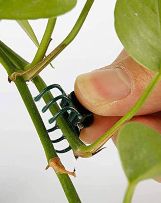 Problems Solved 100-pack plant support clips for garden stems, plastic mini stalks, ideal for flower and plant support in gardening.