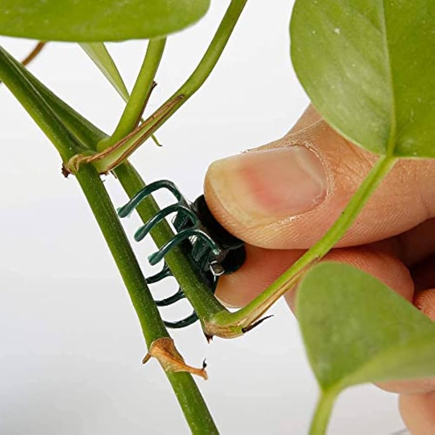 Problems Solved 100-pack plant support clips for garden stems, plastic mini stalks, ideal for flower and plant support in gardening.