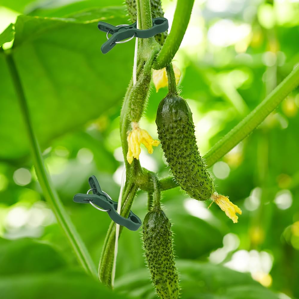 Problems Solved 50-pack tomato plant support clips for garden plants, flexible and sturdy clips for plant stability and growth support.