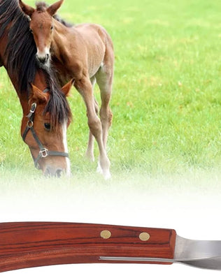 Problems Solved hoof knife with wooden handle, a farrier tool for trimming horse hooves, featuring a sharp cutting blade.