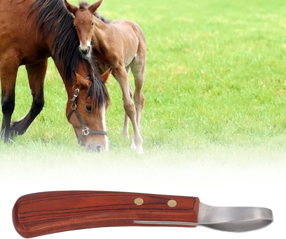 Problems Solved hoof knife with wooden handle, a farrier tool for trimming horse hooves, featuring a sharp cutting blade.