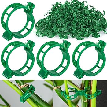 Pack of 100 Problems Solved plant support clips for climbing plants, suitable for garden plant support and staking.