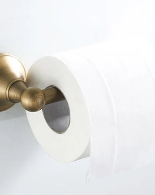 Antique brass wall-mounted toilet paper holder from Problems Solved, designed for bathroom accessories with elegant vintage style.