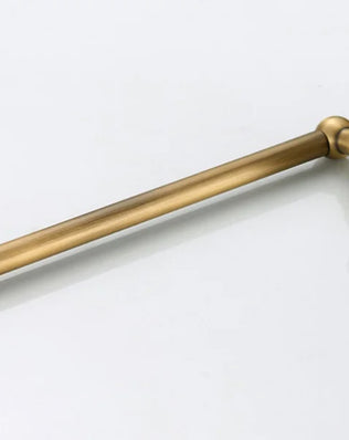 Antique brass wall-mounted toilet paper holder with a classic design, part of Problems Solved bathroom accessories collection.