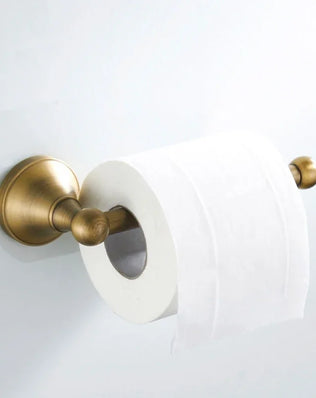 Antique brass wall-mounted toilet paper holder from Problems Solved bathroom accessories set, featuring classic design and sturdy metal construction.